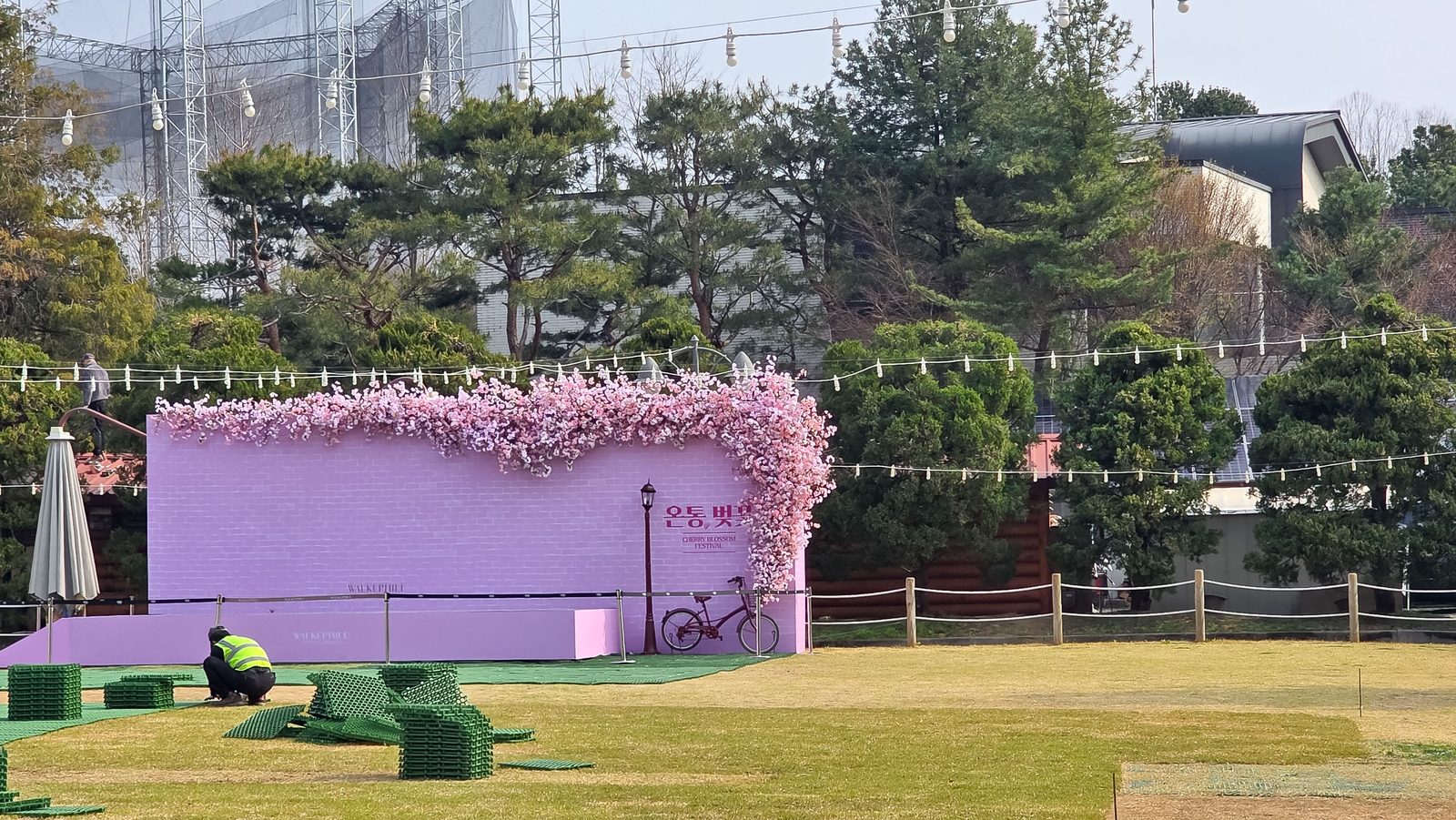 studio-sayu — 인조식물, 어디서 '분양'받느냐가 전부입니다 — 좋은 곳과 싸구려 떠넘기는 곳을 가르는 6가지 기준