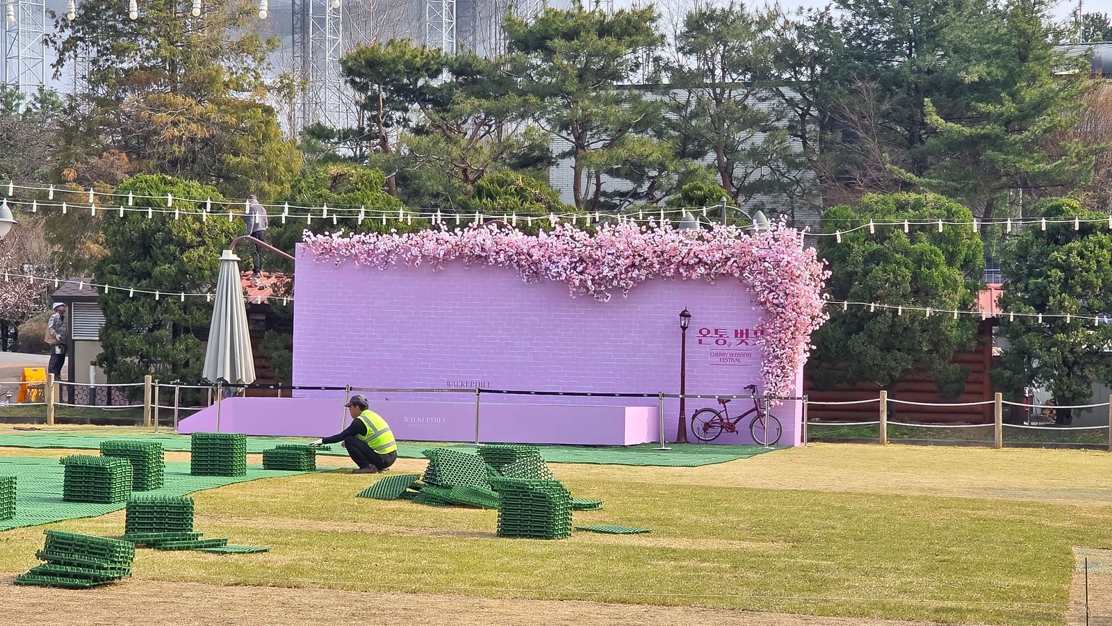 studio-sayu — 먼지 말고 '얼룩'이 졌을 때 — 인조식물 세척, 망치지 않고 하는 법